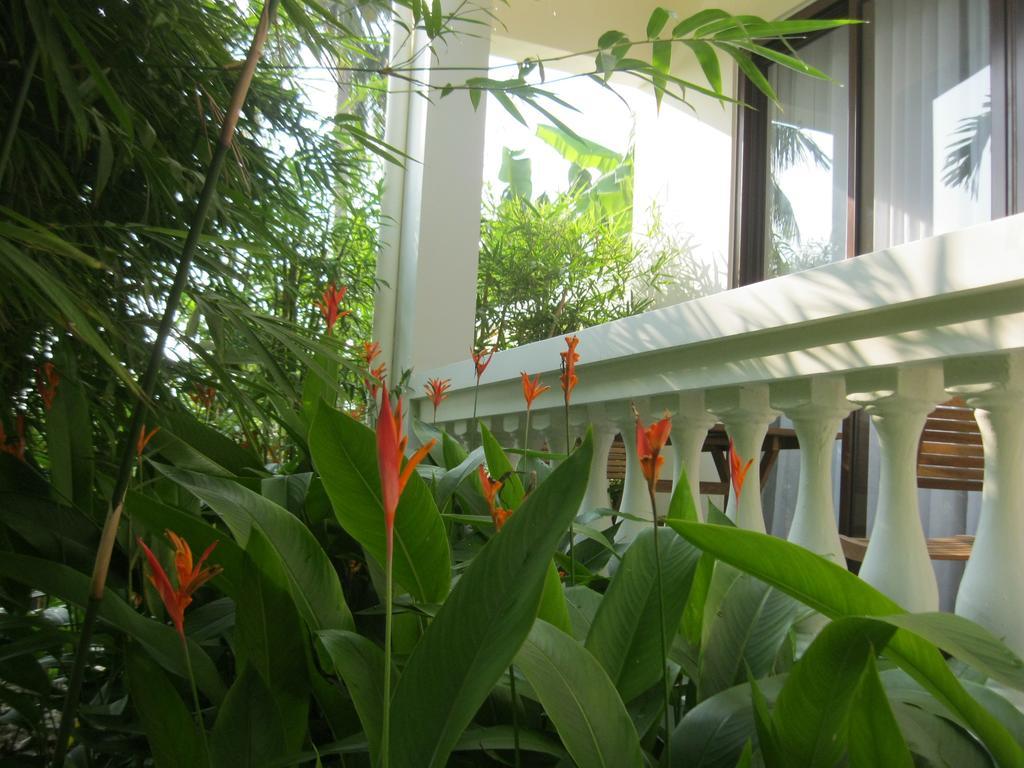 Palm View Villa Хоян Екстер'єр фото